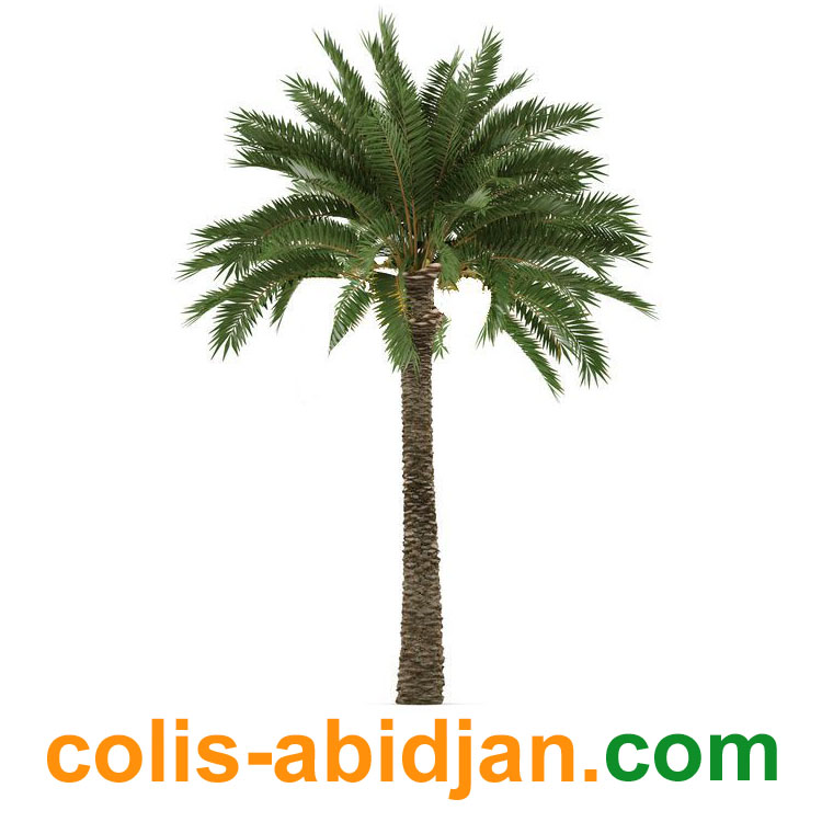 Colis Abidjan – votre spécialiste sur l'Afrique